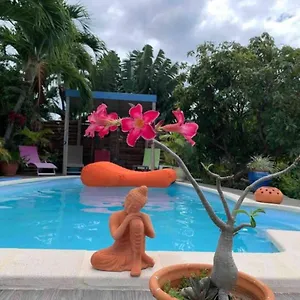 La ô Plaisir Appartement